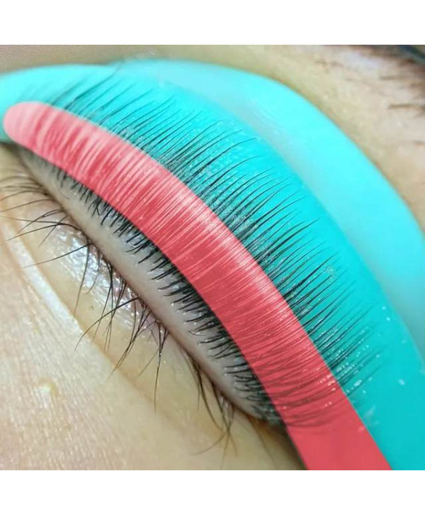 Ribbons Bigudiuri Lminare Gene Set