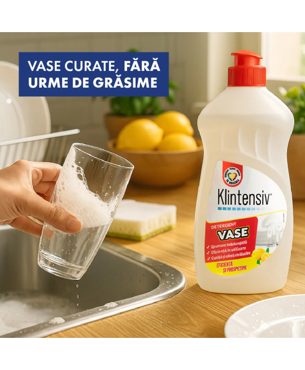 Klintensiv Pachet Curatare Bucatarie